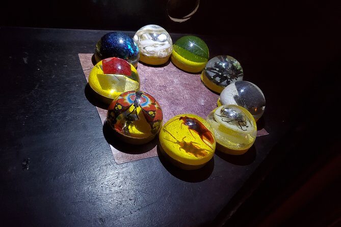 Merlin's Magic School Escape Room Game for Private Group - The Value of the Experience