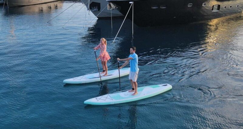 Merritt Island: Electric Motorized Paddleboard Rental - Key Points