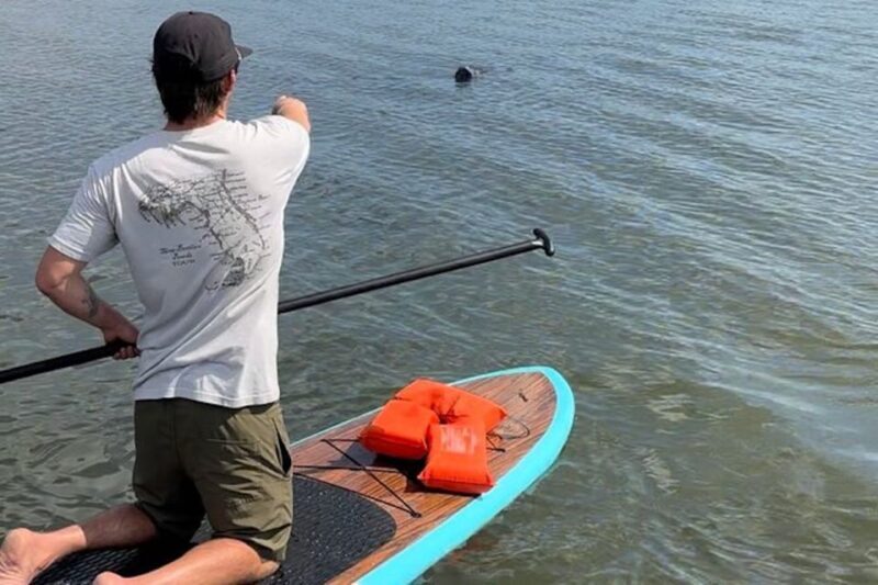Merritt Island: Manatee Watching Paddle or Kayak Tour - What to Expect from the Tour