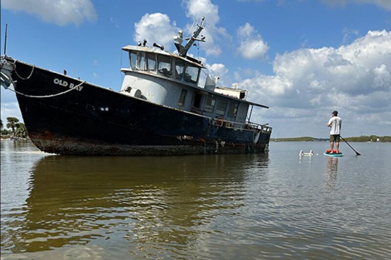 Merritt Island: Manatee Watching Paddle or Kayak Tour - FAQ