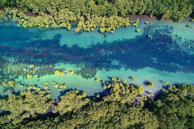 Merritts Mill Pond Eco Adventure - A Closer Look at the Merritts Mill Pond Eco Adventure