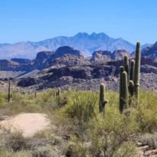 Mesa. AZ: Bulldog Canyon Off-Road Tour Scenic Superstitions - FAQ