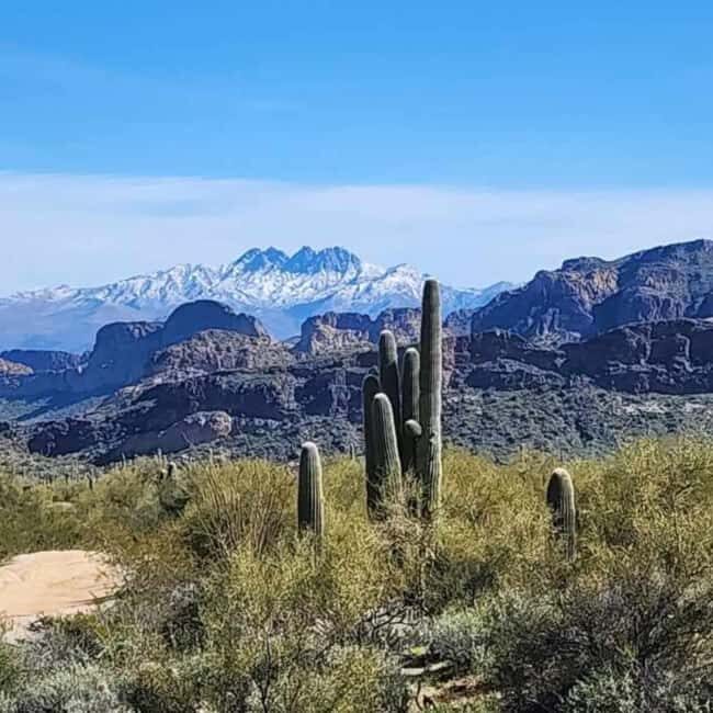 Mesa, AZ: Four Peaks Wilderness Off-Road Tour with Lunch - Key Points