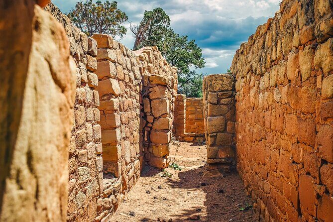 Mesa Verde National Park Half Day Tour - What to Expect from the Tour