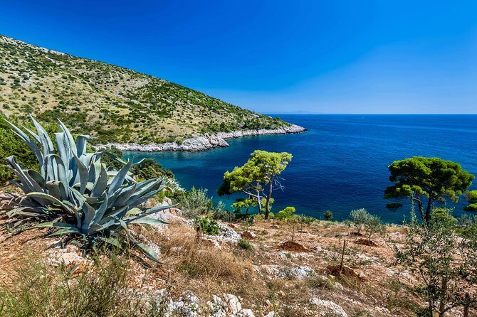 Mesmerizing Hvar speed boat tour with optional wine tasting - FAQ