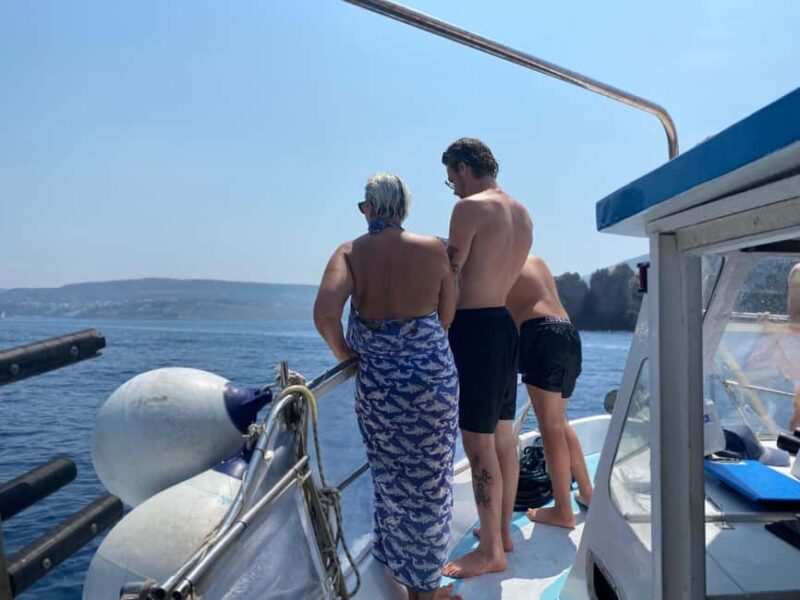 Messinia, Greece: Boat ride tour in Navarino Bay & Lunch - Key Points