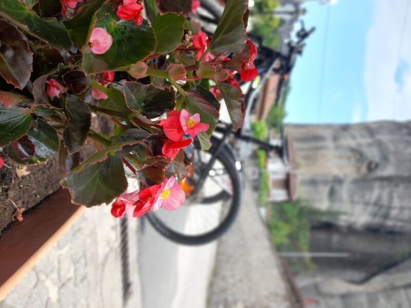 Meteora and Neanderthal cave Morning tour - What to Expect from the Tour