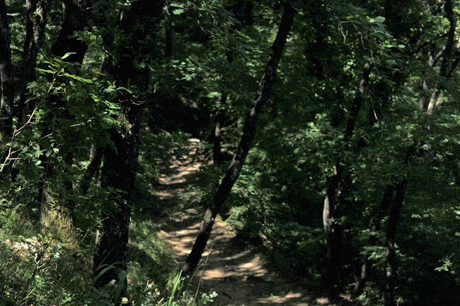 Meteora day trip from Thessaloniki - Key Points