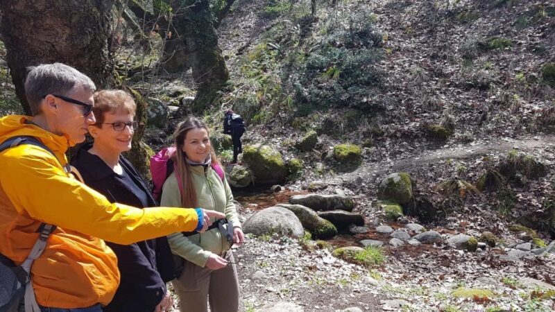 Meteora: Easy Hiking Adventure - Final Thoughts: Who Should Book This Tour?