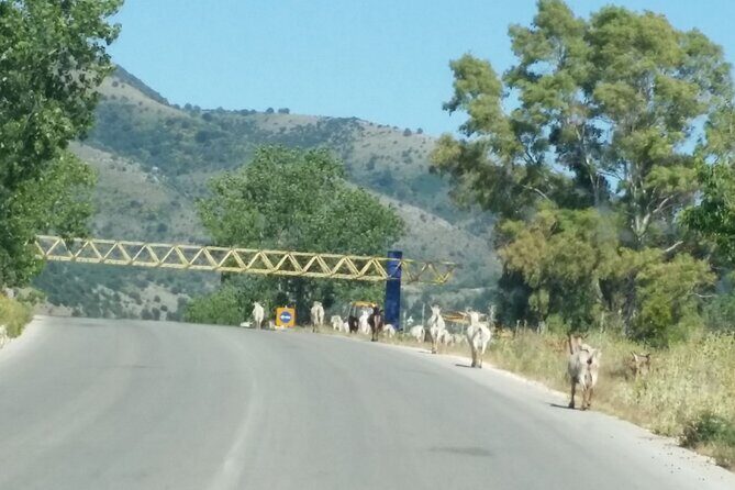 Meteora tour by coach from Corfu - FAQ