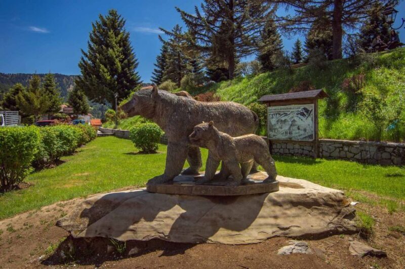 Metsovo: Food, Wine & Culture Walking tour - The Experience and the Guides