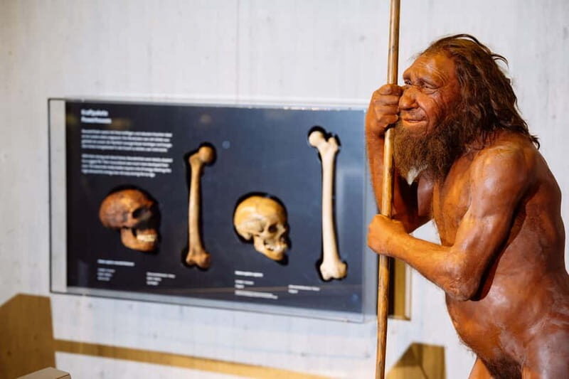 Mettmann: Neanderthal Museum Admission Ticket - Key Points