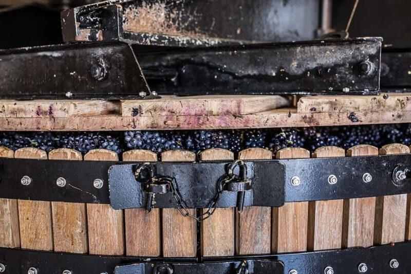 Meunier Champagne Experience tour - Passy-Grigny - Key Points