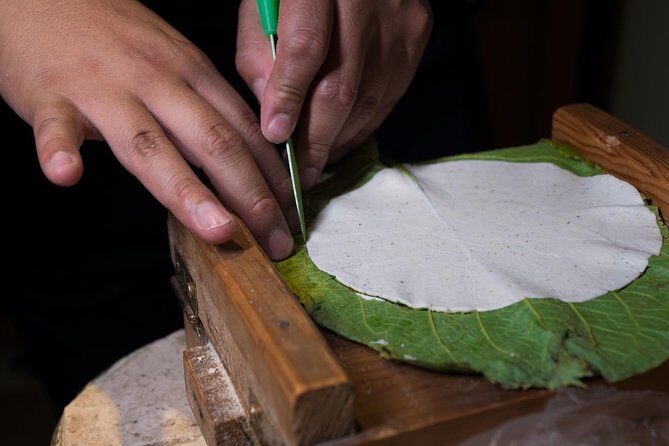 Mexican Cooking Class with Food Market Visit in Mexico City - Potential Drawbacks and Considerations