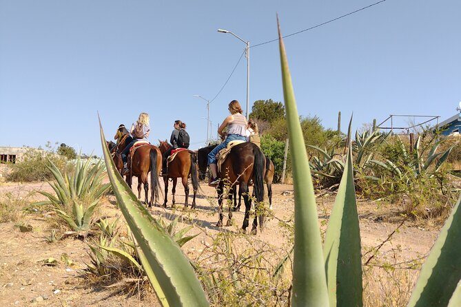 Mexican Equestrian Experience - Exploring Guanajuato on Horseback: What You Can Expect