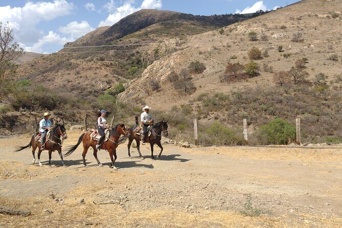 Mexican Equestrian Experience - Final Thoughts: Is This Tour Right for You?
