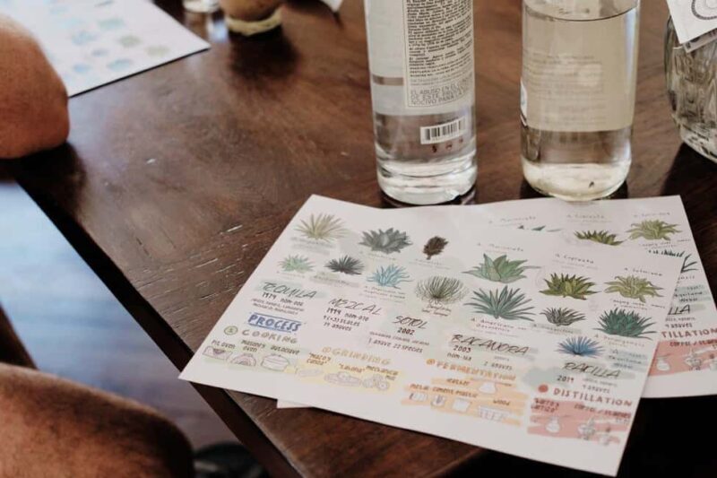 Mexican Spirits Tasting: Experience the Essence of Tradition - Key Points