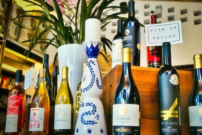 Mexican Wine Tasting Experience - What You Can Expect from the Experience