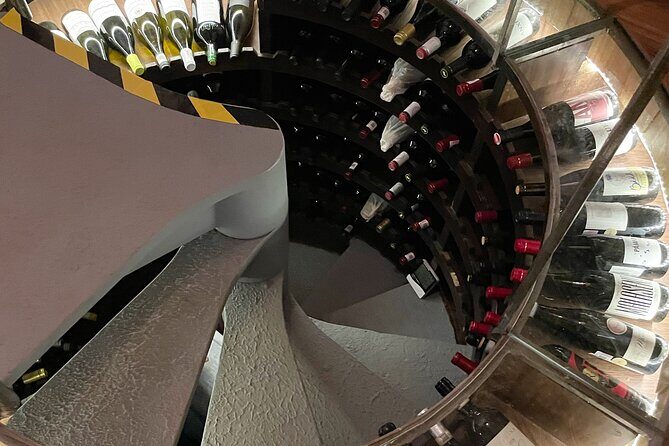 Mexican Wine Tasting Experience - Who Will Love This Experience?