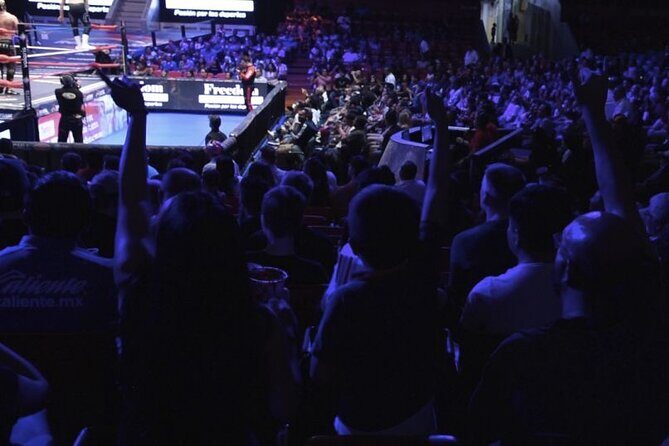 Mexican Wrestling and Gastronomy Show - Is It Worth the Price?