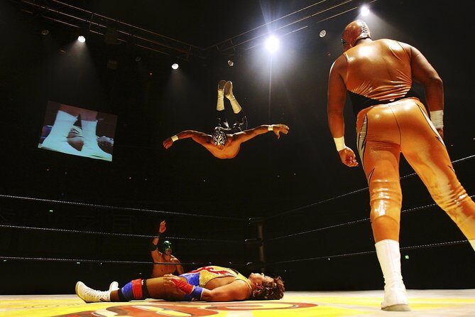 Mexican Wrestling: Experience Lucha Libre in Mexico City - Who Is This Tour Best For?