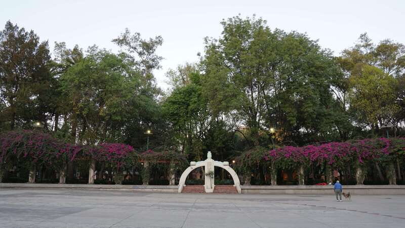 Mexico City: 19 City Highlights Bicycle Tour - An Engaging Ride Through Mexico City’s Heart