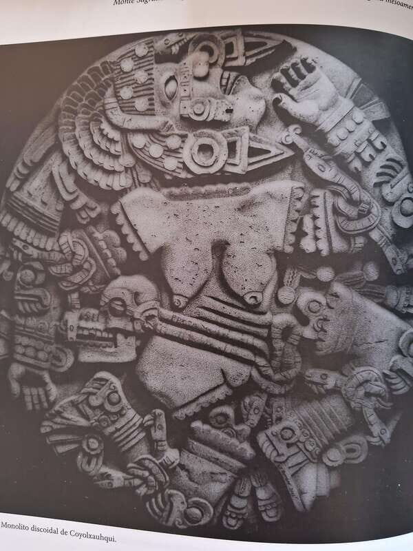 Mexico City: Art and Food Tour with Lunch - A Closer Look at the Tour Experience