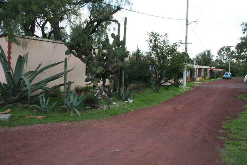 Mexico City: Basilica and Teotihuacan Pyramids Tour - Lunch and Cultural Flavors