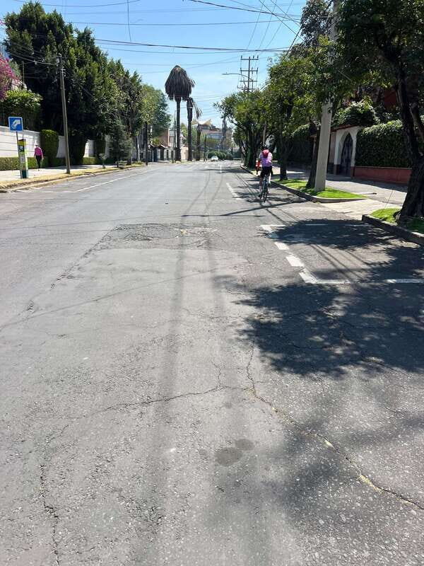 Mexico City: Bike, Cannabis, Nature, Food, Culture and History. - Exploring Chapultepec Park and the Historic Center