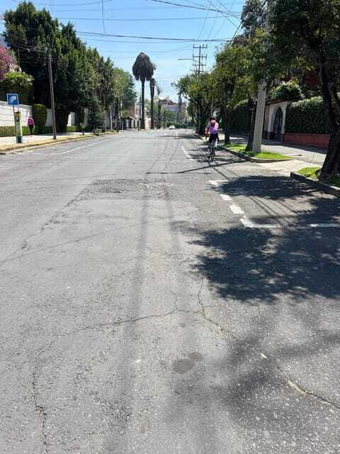 Mexico City: Bike, Cannabis, Nature, Food, Culture and History. - What to Expect and What Not to Expect