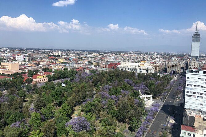 Mexico City Center Private Walking Tour - FAQ