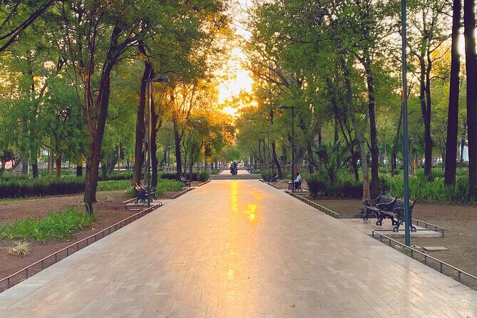 Mexico City Centro Historico Private Tour - The Itinerary in Detail: What You’ll See and Experience