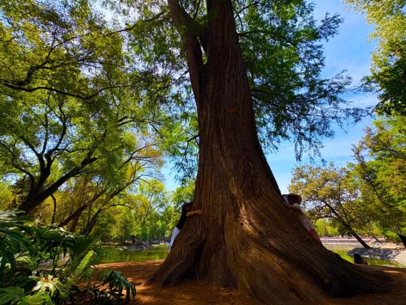 Mexico City: Chapultepec Castle and Forest Guided Tour - Final Thoughts