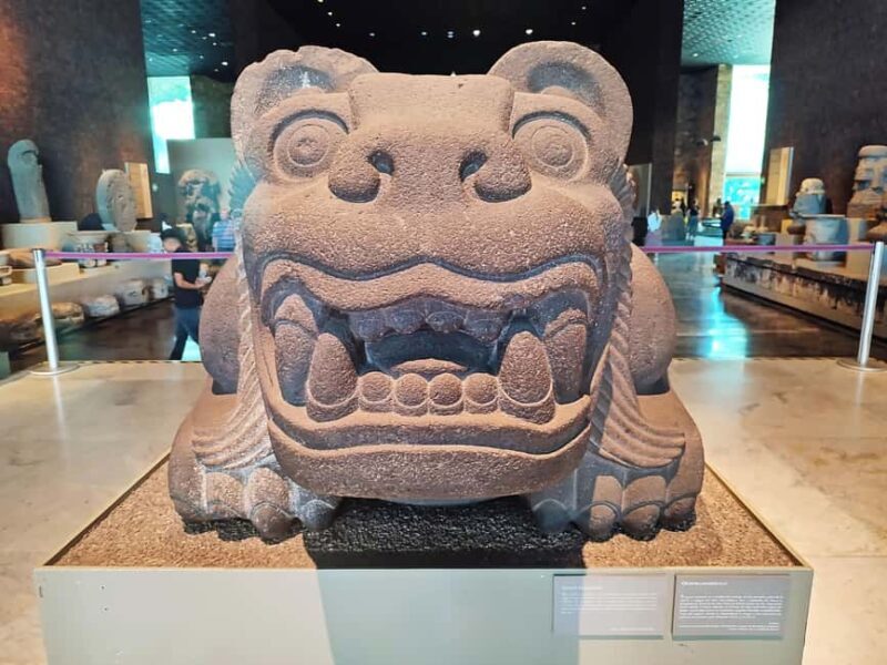 Mexico City: Chapultepec Park Bike Tour with Museums - Who Should Consider This Tour?