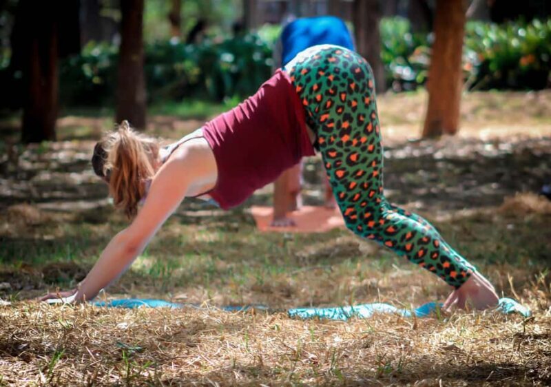 Mexico City: Chapultepec Park Yoga Class with Sound Bath - The Value of the Experience