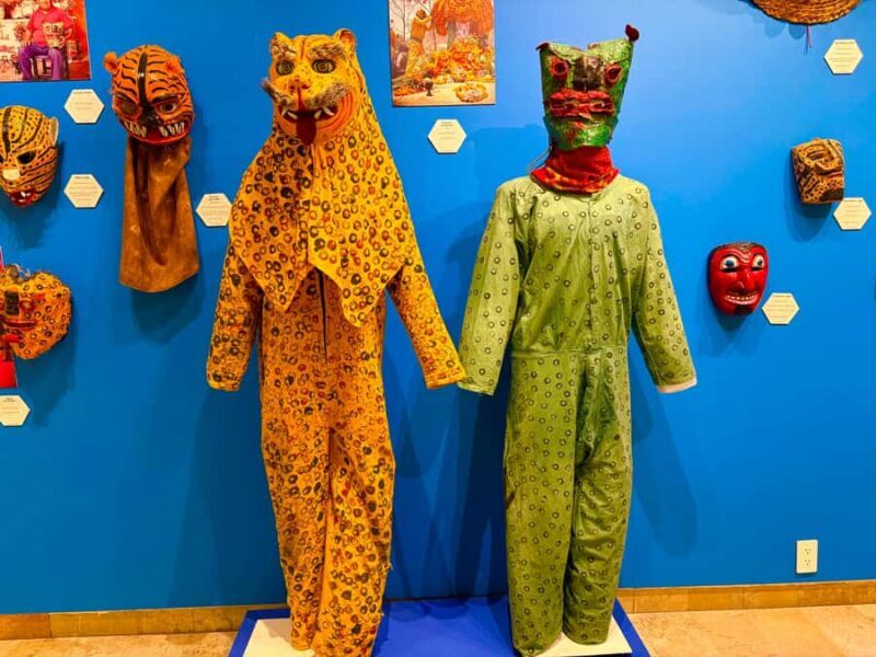 Mexico City: Coyoacan walking tour - Cost and Value