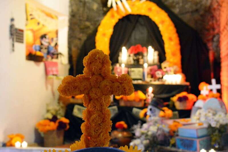 Mexico City: Day of the Dead House and craft workshop - Key Points