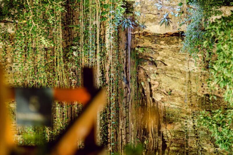 Mexico City: Day of the Dead Tour - FAQ