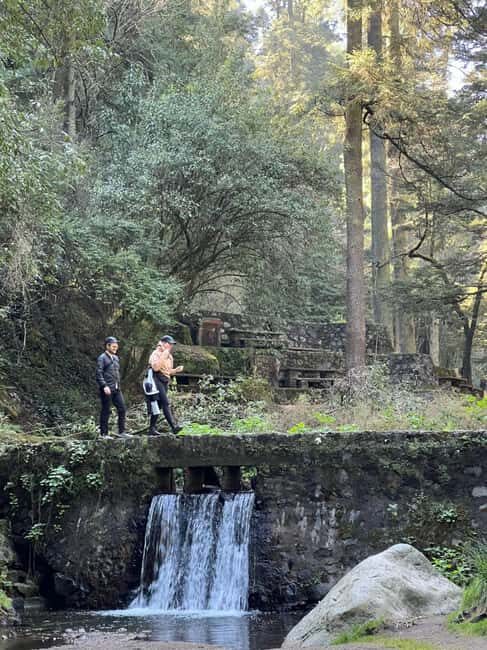 Mexico City: Desierto de los Leones Hike & Ex-Convent Tour - Key Points