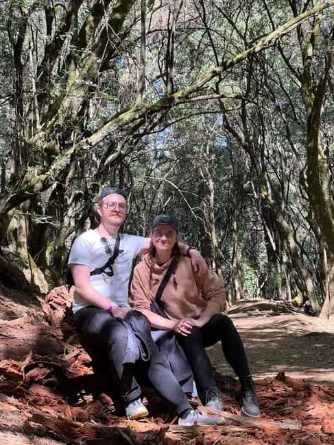 Mexico City: Desierto de los Leones Hike & Ex-Convent Tour - The Bottom Line