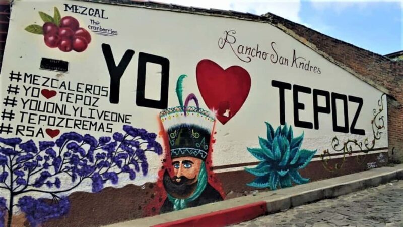 Mexico City: Explore Mexican Gardens and Tepoztlan Town - Final Thoughts