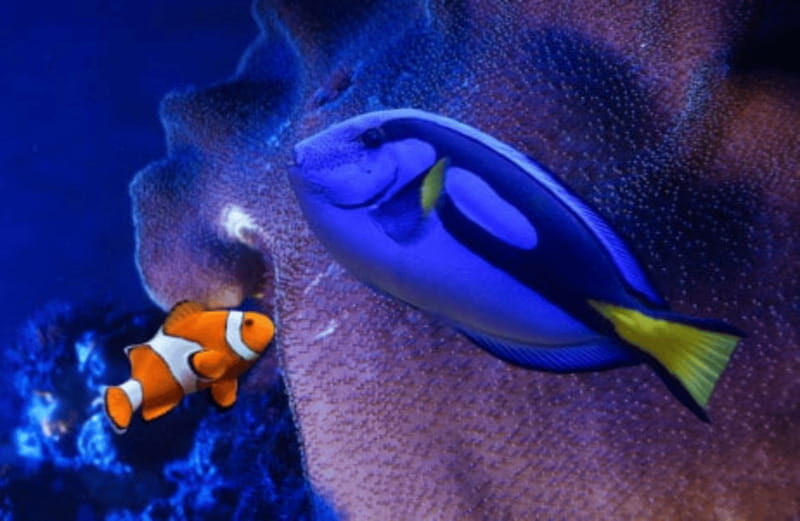 Mexico City: Fast Pass Ticket to Acuarium Inbursa - FAQ