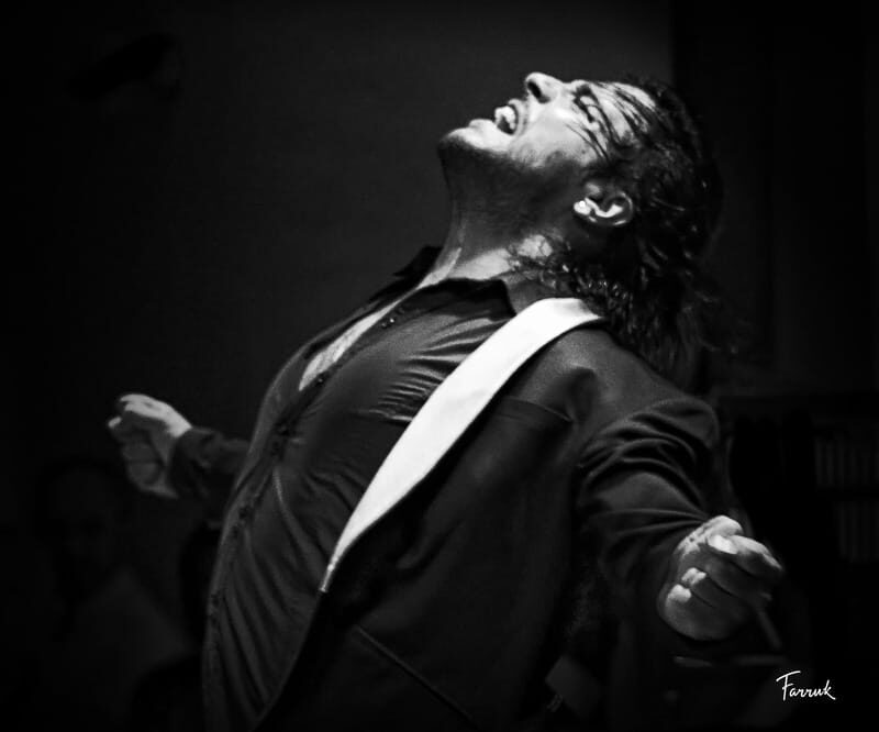 Mexico City: Flamenco Tablao Live Show & dinner - Final Thoughts: Is It Worth It?