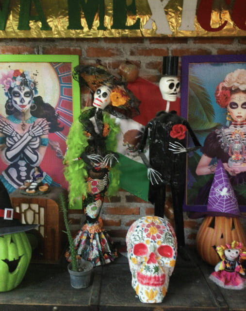 Mexico City: Frida Kahlo, Coyoacán, and Xochimilco Day Tour - Exploring Mexico City’s Cultural Gems