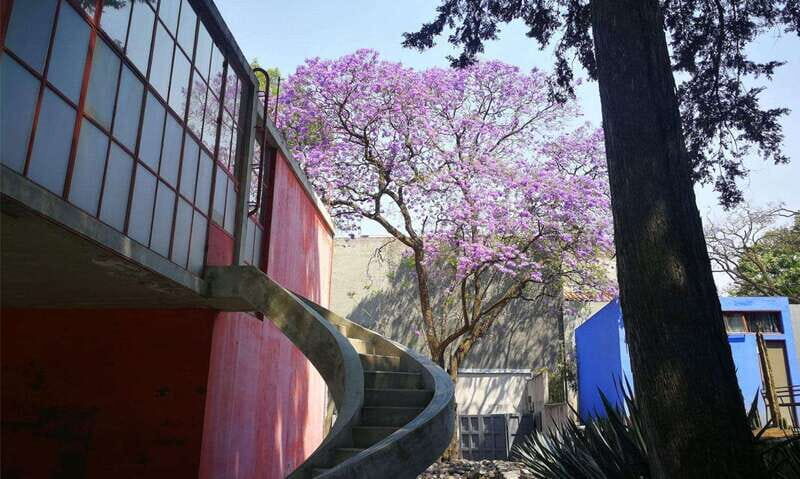 Mexico City: Frida Kahlo-Diego Rivera Studio House Tour - Key Points