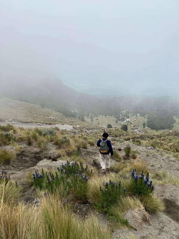 Mexico City: Hiking to la Malinche private day tour - Who Should Consider This Tour?