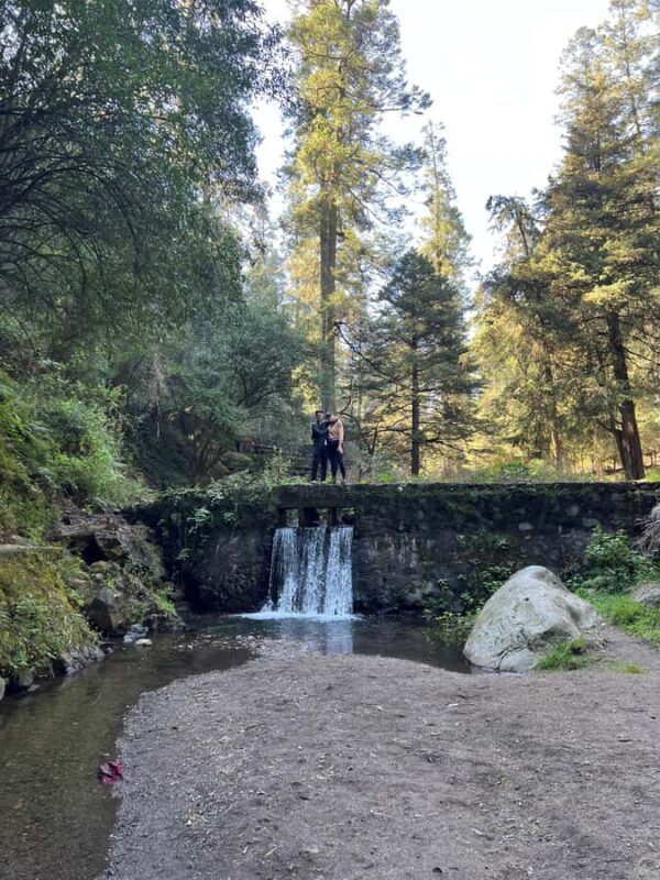 Mexico city: Hiking tour to Desierto de los leones - Key Points