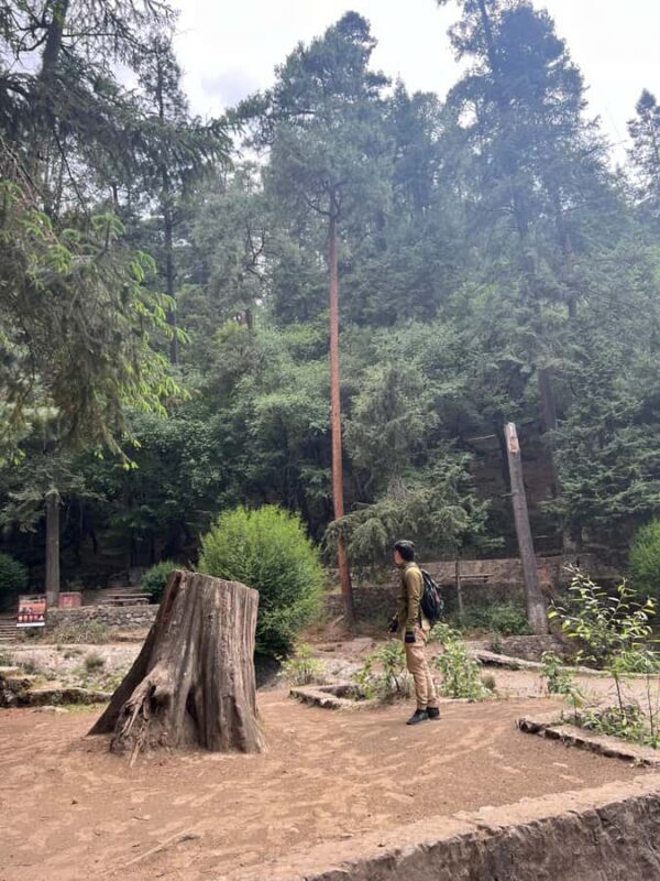 Mexico city: Hiking tour to Desierto de los leones - Practical Tips for Your Day