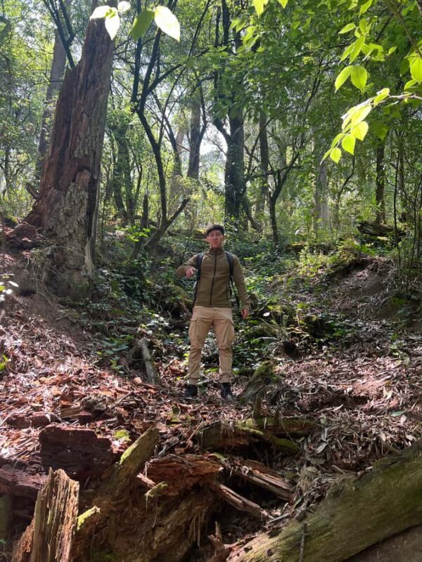 Mexico city: Hiking tour to Desierto de los leones - The Sum Up