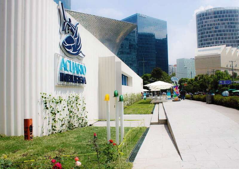 Mexico City: Inbursa Aquarium optional Round trip transfer - Getting to Know the Inbursa Aquarium